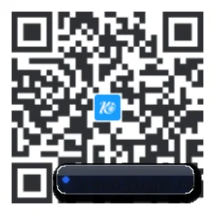 iOS 苹果生态原生版 二维码